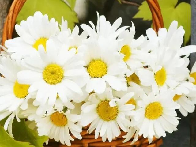 唯美短句英文5个字以内，好听的英文句子简短5字