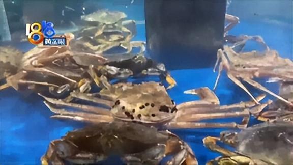 挪威帝王蟹多少钱一斤，韩国帝王蟹多少钱一斤