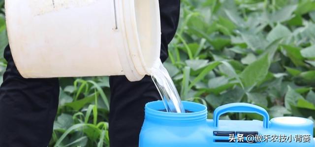 赤霉酸的作用和使用方法，赤霉酸干什么用的