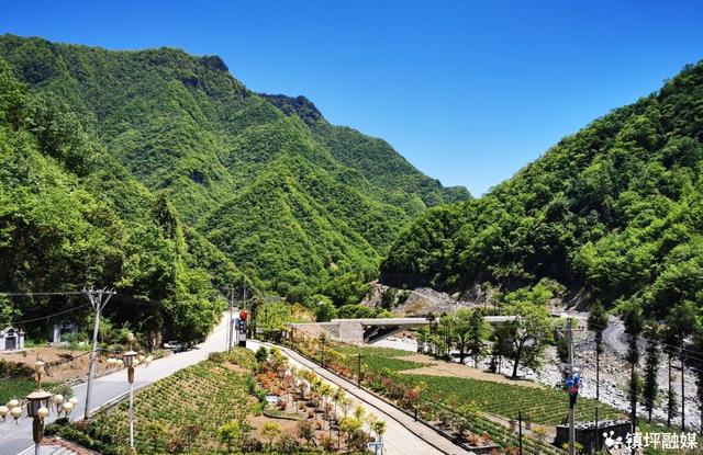 卖蜂蜜的广告语朋友圈要怎么发_,卖蜂蜜的广告语朋友圈要怎么发_有什么说法