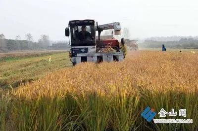 农村创业的好项目养殖业,农村创业的好项目养殖业概述