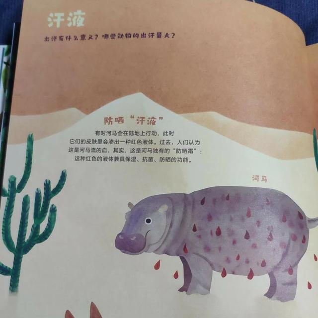 有什么特长怎么回答,领导问有什么特长怎么回答