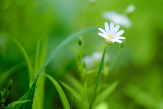 独居老人聘保姆9千起,80岁女老人诚聘住家保姆