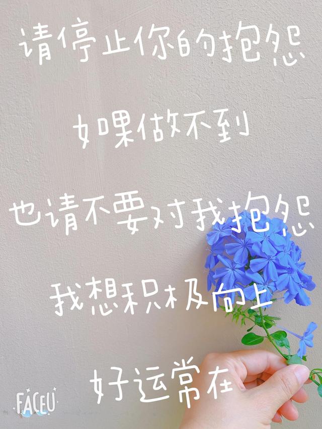 不删除好友阻止偷能量软件，好友删除还能偷能量不