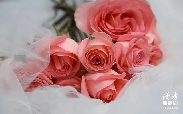 微信搜索该用户不存在什么意思,微信搜索该用户不存在是被拉黑了吗