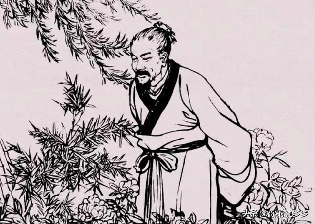 乌龟放生对家庭有什么好处，家养乌龟放生对家庭有什么好处