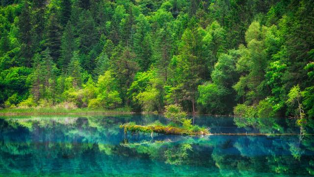 北京任加代大哥死因,北京大哥任加代妻子是谁