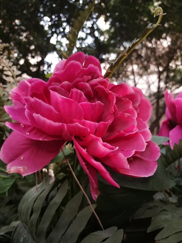 北京嘉代任家忠，任家忠嘉代相片