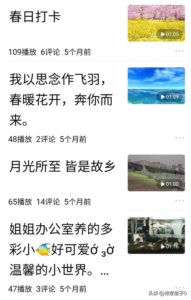 西瓜视频中视频伙伴计划怎么加入，快手中视频伙伴计划怎么加入