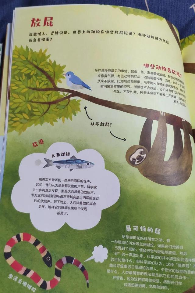 有什么特长怎么回答,领导问有什么特长怎么回答