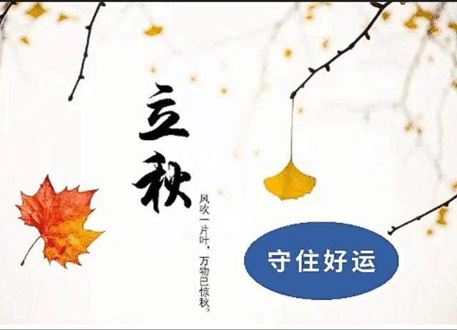 不删除好友阻止偷能量软件，好友删除还能偷能量不