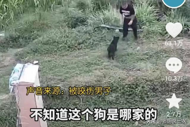 家有六畜正确生肖,六畜什么生肖