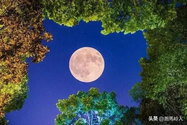 开药店赚钱吗知乎,药店加盟_知乎