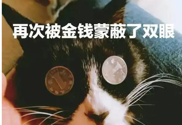 网上创业失败案例分析题,网上创业失败案例分析题及答案