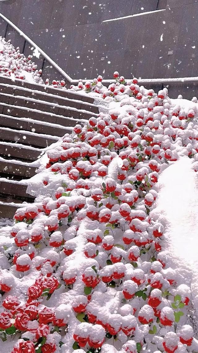 什么的环境填合适词语，什么的环境填合适词语三年级