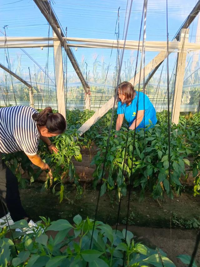 自主创业案例文本,自主创业案例文本分析