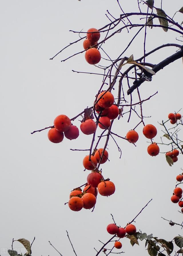 一堂好课的基本标准有哪些简答题,一堂好课的基本标准有哪些简答题及答案