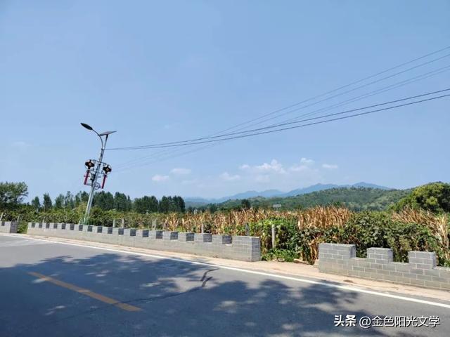 给自己取艺名女,给自己取艺名女温柔