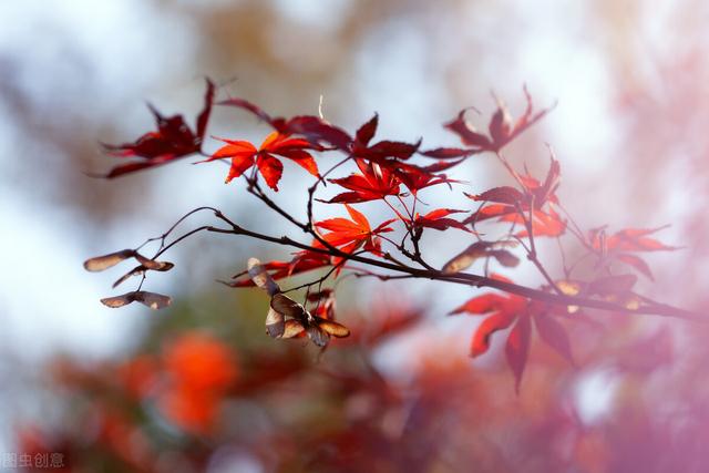 一堂好课的基本标准有哪些简答题,一堂好课的基本标准有哪些简答题及答案