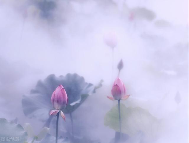 人性与需求的关系之连信,人性与需求的关系佛教