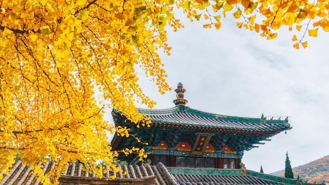 任加代北京大哥媳妇,北京任加代背后的大哥是谁