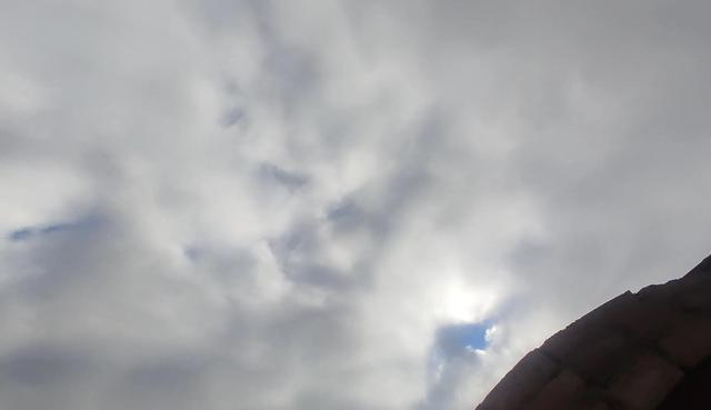 大学疫情期间怎么请假理由，疫情期间大学如何请假