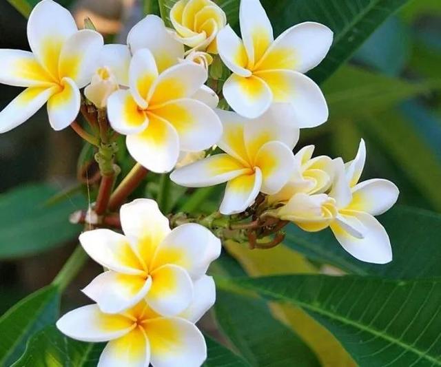 宝妈努力挣钱的句子霸气简短的图片,宝妈努力挣钱的句子霸气简短的话