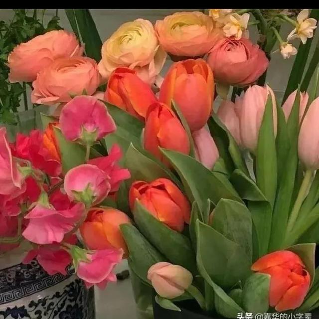 头条号每天坚持发10个视频会不会阅读量变多，头条号每天坚持发10个视频会不会阅读量变多呢