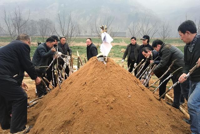 国家推行火葬的隐因有哪些，国家推行火葬的隐因有哪些方面