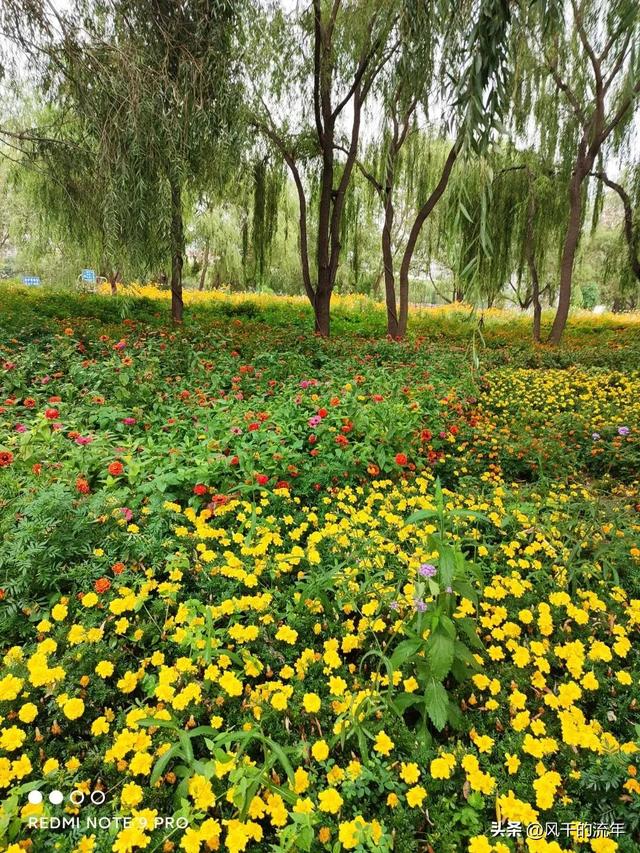 做自媒体的宝妈太多了吧视频,宝妈可以做自媒体吗