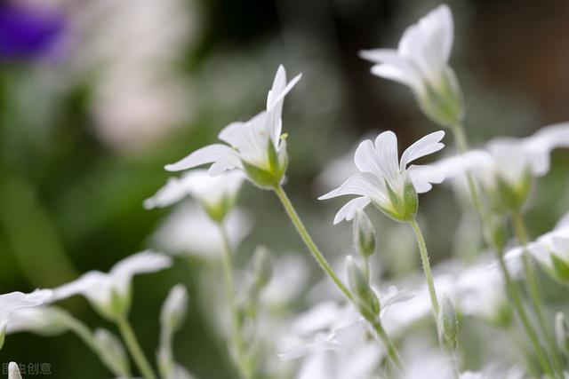 独居老人聘保姆9千起,80岁女老人诚聘住家保姆