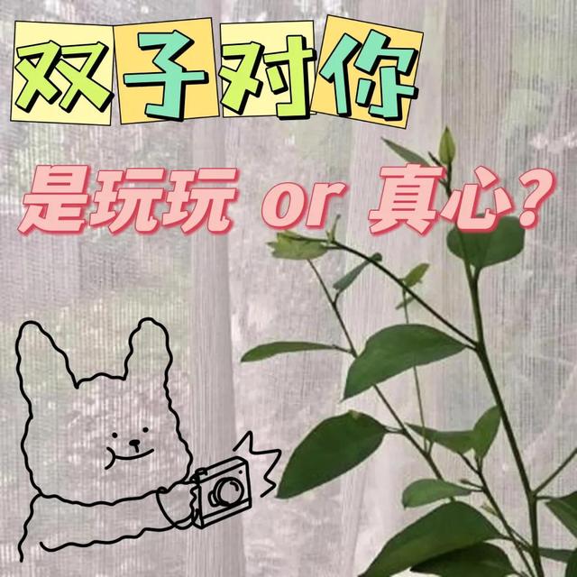 双子座开始走心的表现知乎，双子座性格知乎