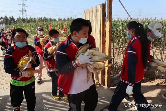 微课程设计方案及相匹配的微课视频,微课程设计方案及相匹配的微课视频语文