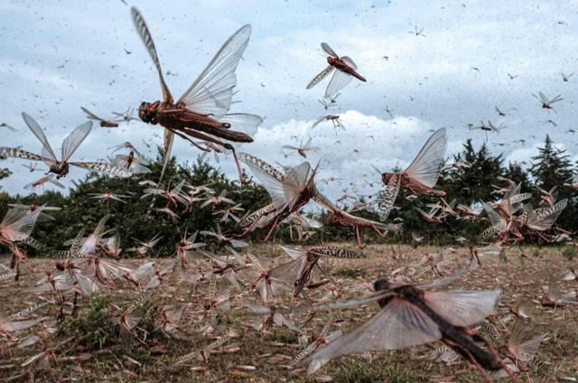 湖南最富裕的三个市,湖南最富裕的三个市2020