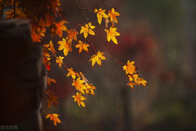 一堂好课的基本标准有哪些简答题,一堂好课的基本标准有哪些简答题及答案