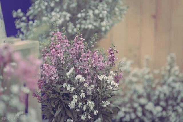 独居老人聘保姆9千起,80岁女老人诚聘住家保姆