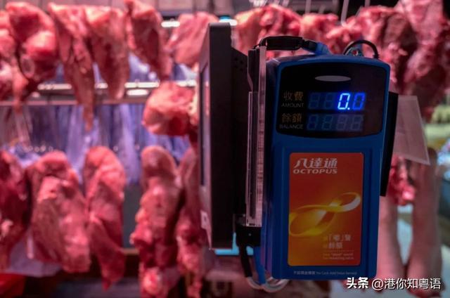 香港资料大全正版资料2022年,正版免费资料香港2019年资料大全