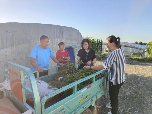 自主创业案例文本,自主创业案例文本分析