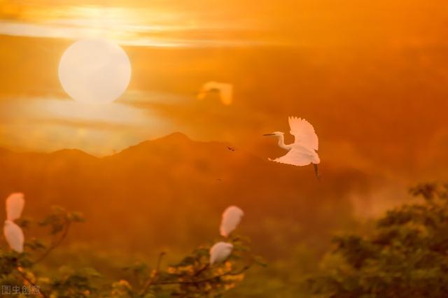 人性与需求的关系之连信,人性与需求的关系佛教