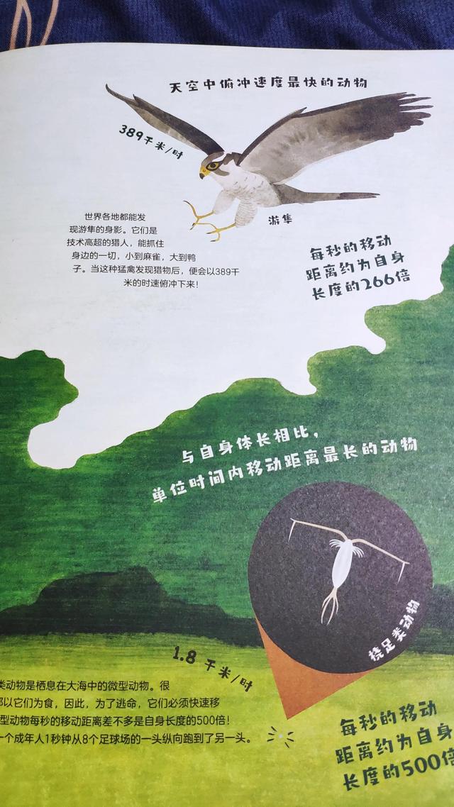 有什么特长怎么回答,领导问有什么特长怎么回答