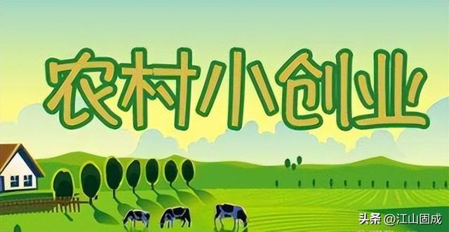 个人创业案例范文大全,个人创业案例范文大全简短