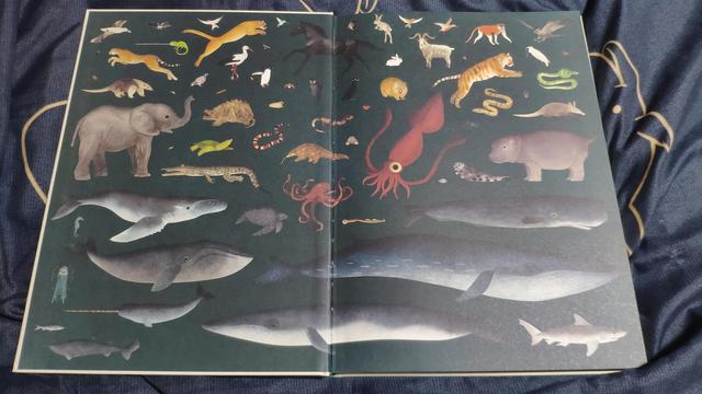 有什么特长怎么回答,领导问有什么特长怎么回答