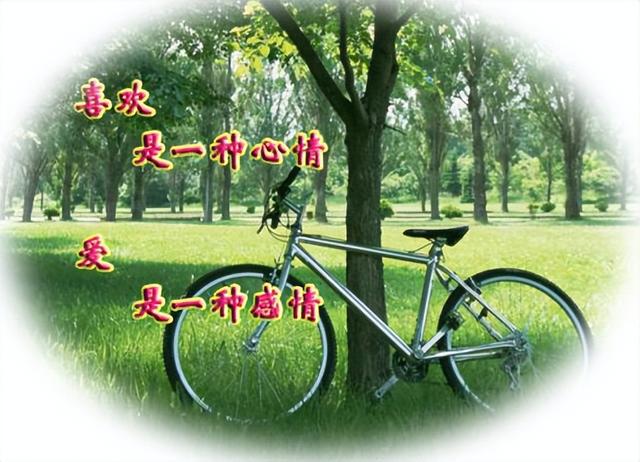 工作感悟及心得,工作感悟的句子,每天工作感悟及心得,工作感悟的句子