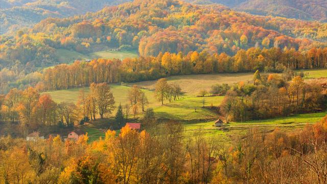 任加代北京大哥媳妇,北京任加代背后的大哥是谁