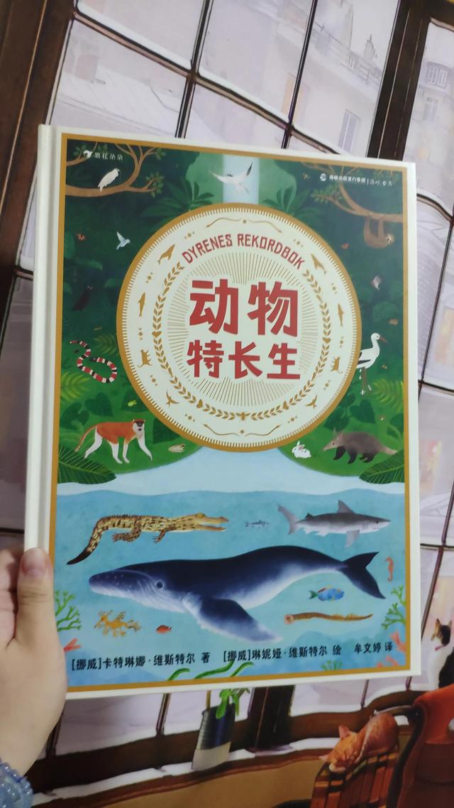 有什么特长怎么回答,领导问有什么特长怎么回答