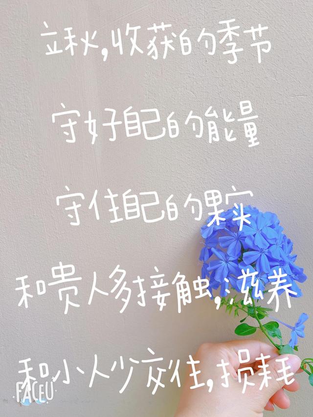 不删除好友阻止偷能量软件，好友删除还能偷能量不