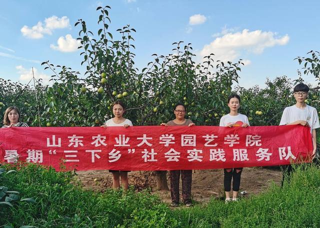 棠棣同馨是什么意思,棠棣同馨是什么意思读音