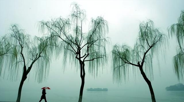 苟姓读敬,苟姓为什么读敬