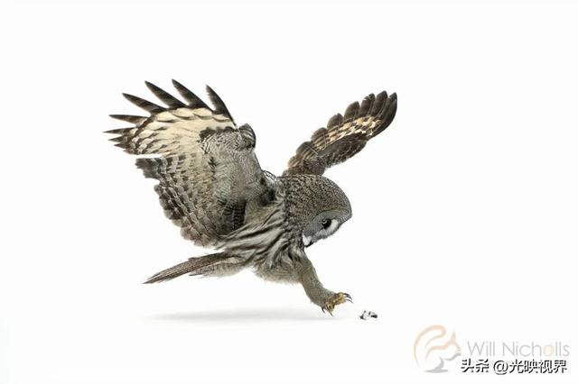 图片清晰度不够怎么提高清晰度手机,图片清晰度不够怎么提高清晰度手机软件