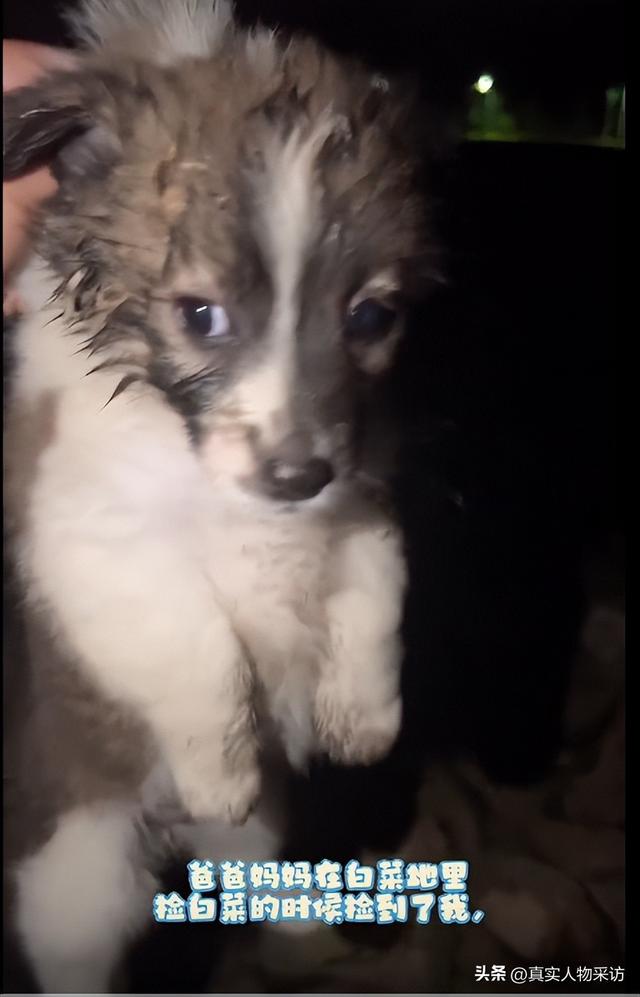 自驾游自媒体是如何赚钱的呢,自驾游自媒体是如何赚钱的呢知乎